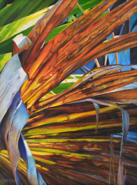 Palmetto