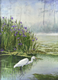 Irisis