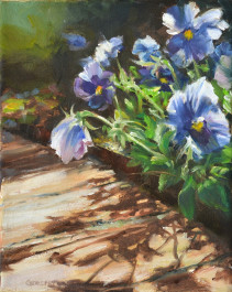 Pansies